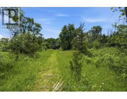 685 County 8 Road, Prince Edward County, ON K0K2T0 Photo 12