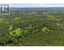 685 County 8 Road, Prince Edward County, ON K0K2T0 Photo 10
