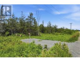 685 County 8 Road, Prince Edward County, ON K0K2T0 Photo 14