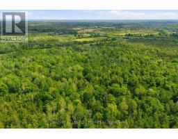 685 County 8 Road, Prince Edward County, ON K0K2T0 Photo 6