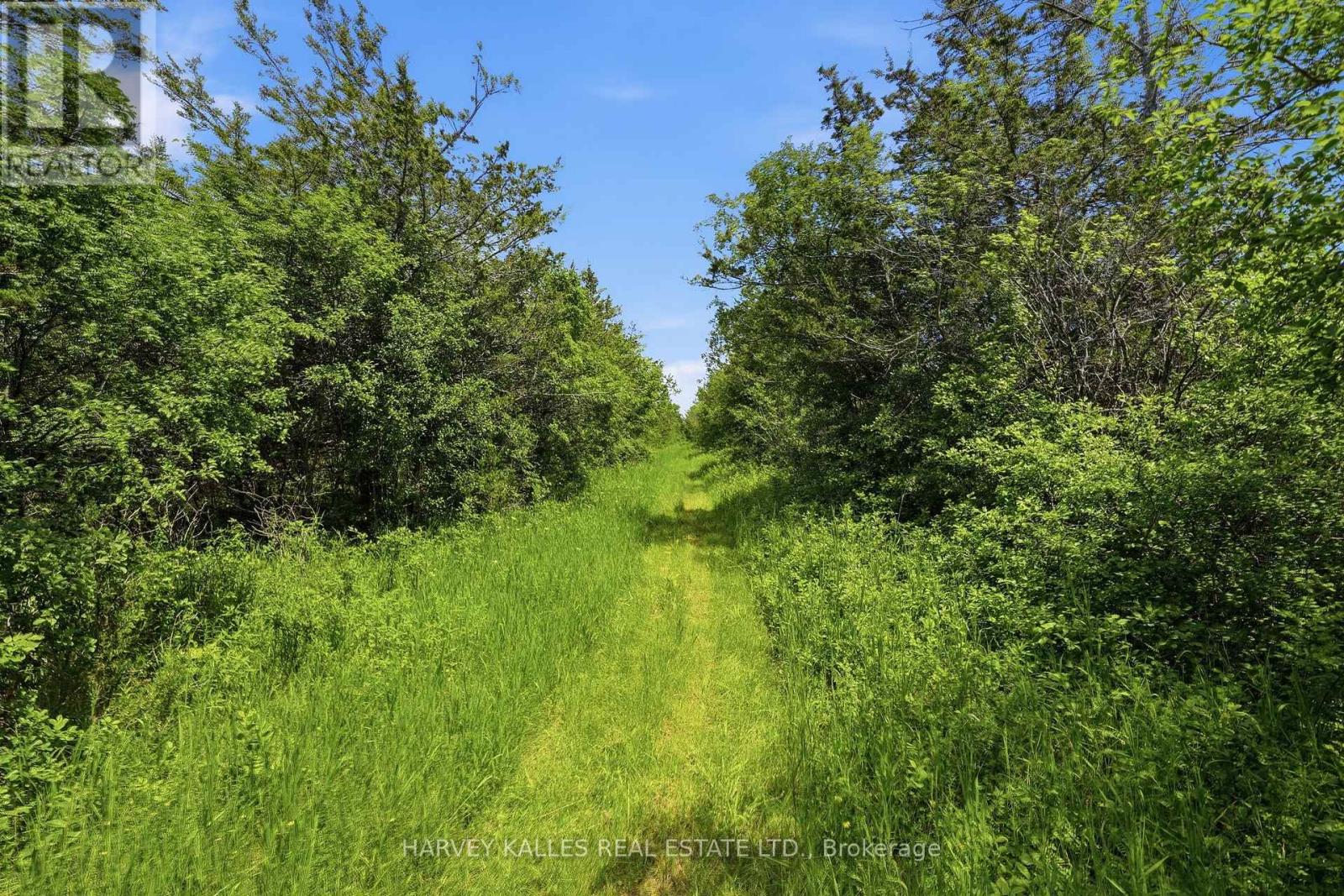 685 County 8 Road — photo 8
