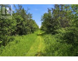685 County 8 Road, Prince Edward County, ON K0K2T0 Photo 8