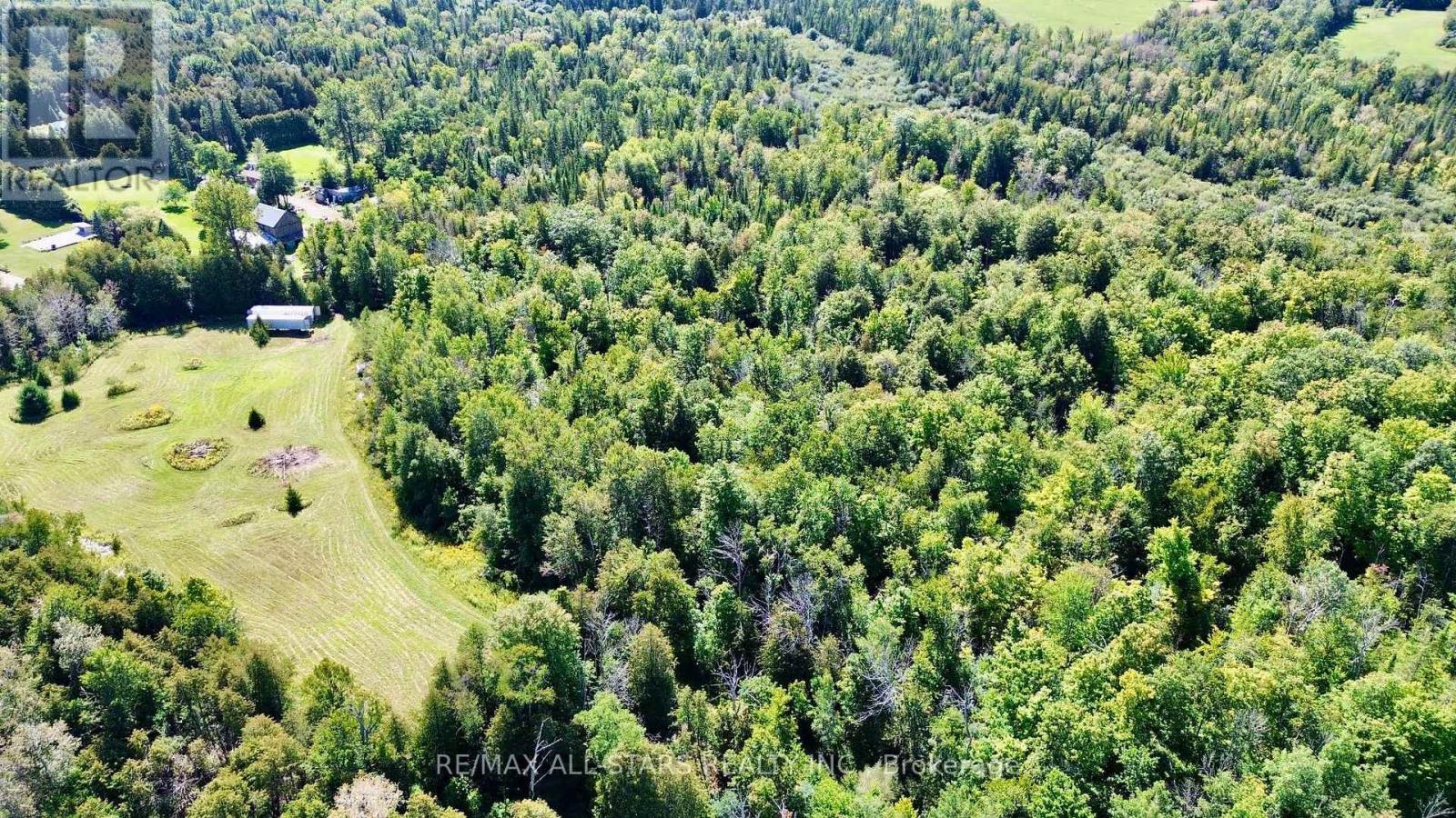 4331 MALCOLM STREET - 38