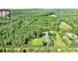 4331 Malcolm Road, Scugog, ON L0B1L0 Photo 34