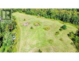 4331 Malcolm Road, Scugog, ON L0B1L0 Photo 36
