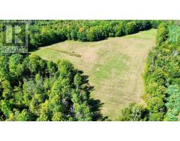 4331 Malcolm Road, Scugog, ON L0B1L0 Photo 37