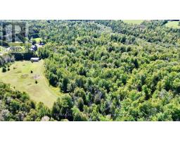 4331 Malcolm Road, Scugog, ON L0B1L0 Photo 38