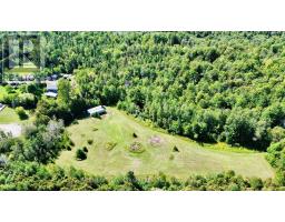 4331 Malcolm Road, Scugog, ON L0B1L0 Photo 39