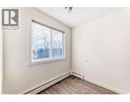 302, 4455a Greenview Drive Ne, Calgary, AB T2E6M1 Photo 11