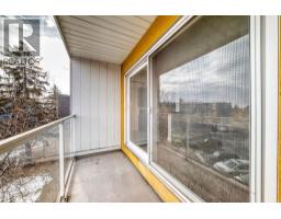 302, 4455a Greenview Drive Ne, Calgary, AB T2E6M1 Photo 18