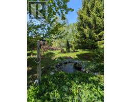 11 Lynda Avenue, Mono, ON L9W1Z4 Photo 38