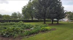 210 Miniota Road, Miniota, MB R0M1M0 Photo 19