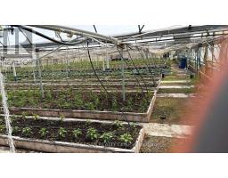 1269 1273 Larkin Road E, Niagara On The Lake, ON L0S1J0 Photo 7