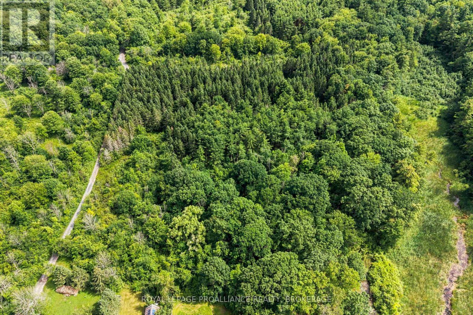 PT LT 25 DRISCOLL ROAD, Frontenac Islands (Howe Island) — photo 8