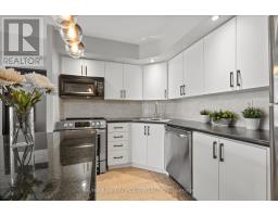 836 - 250 Wellington Street W, Toronto, ON M5V2V4 Photo 21