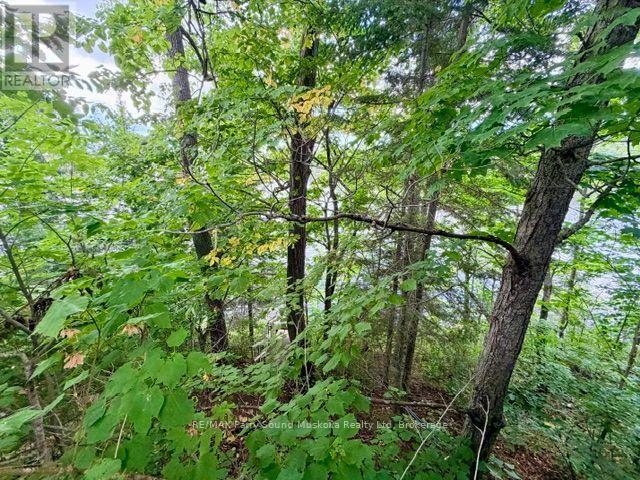 220 EAST WHALLEY LAKE ROAD E - 21