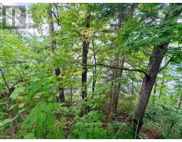 220 East Whalley Lake Road E, Magnetawan, ON P0A1P0 Photo 21