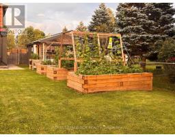 16 Loree Drive, Adjala Tosorontio, ON L0M1J0 Photo 41