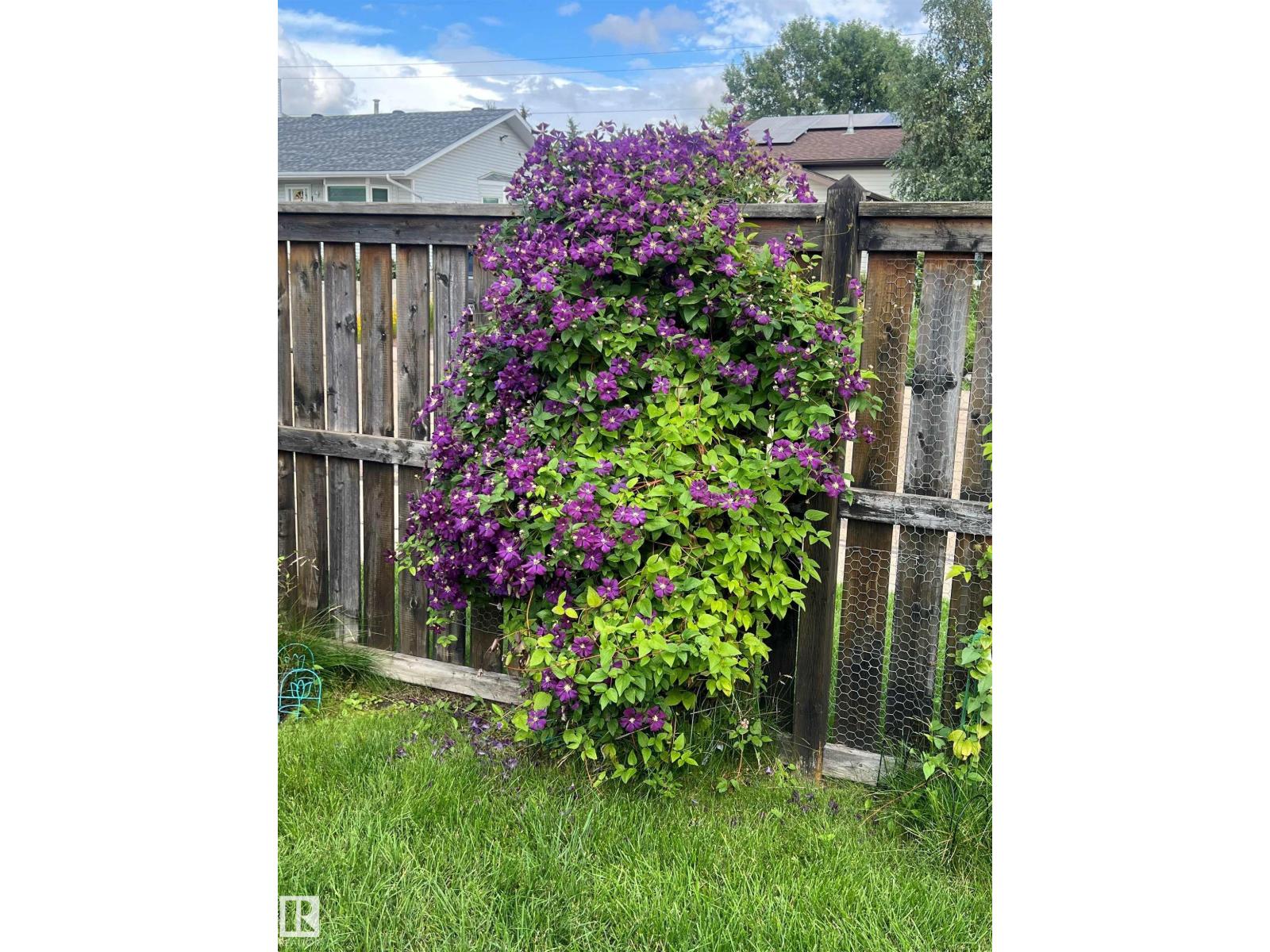 14546 19 ST NW - 53