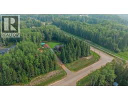 102 Gregoire Drive, Anzac, AB T0P1J0 Photo 40