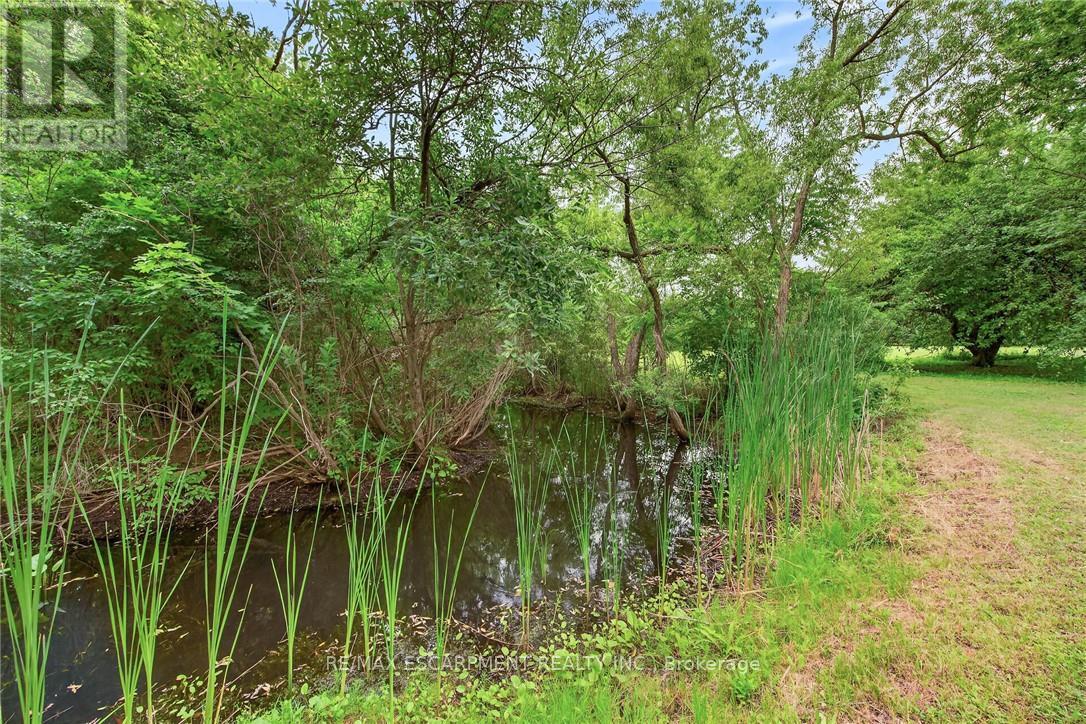 138 REICHELD ROAD - Image 44