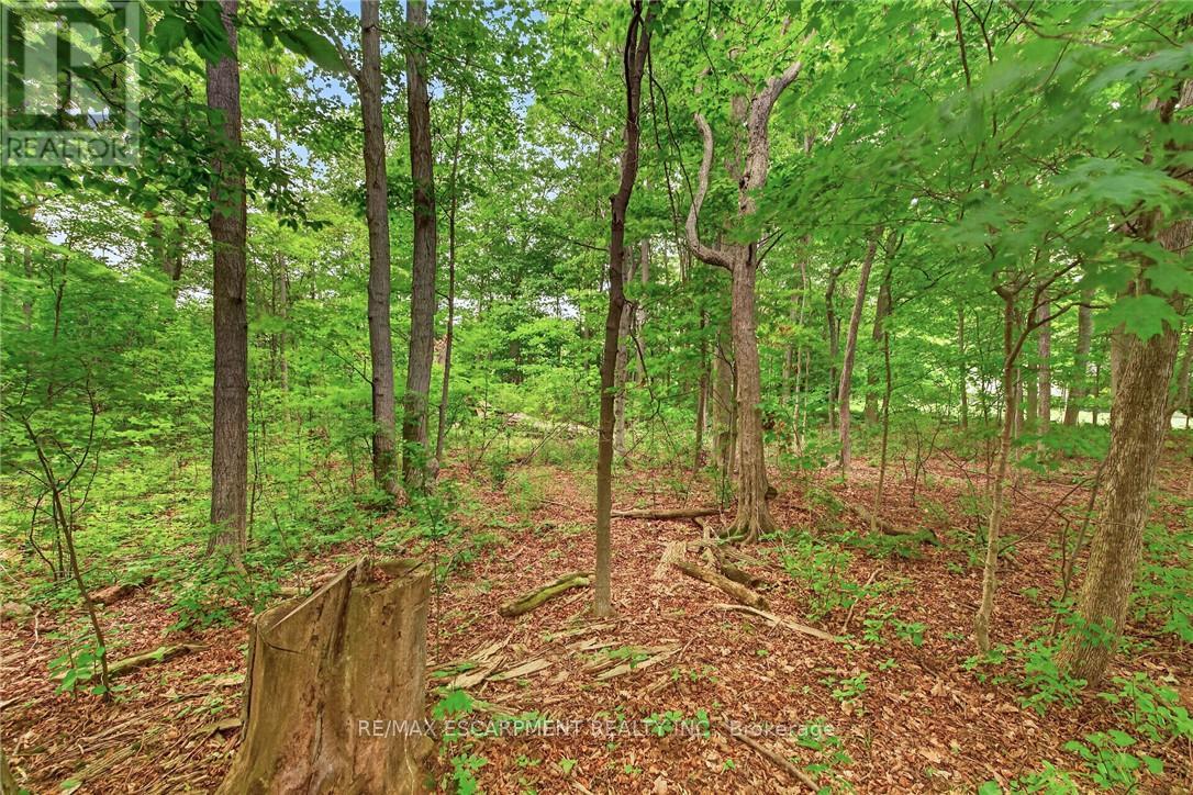 138 REICHELD ROAD - Image 45