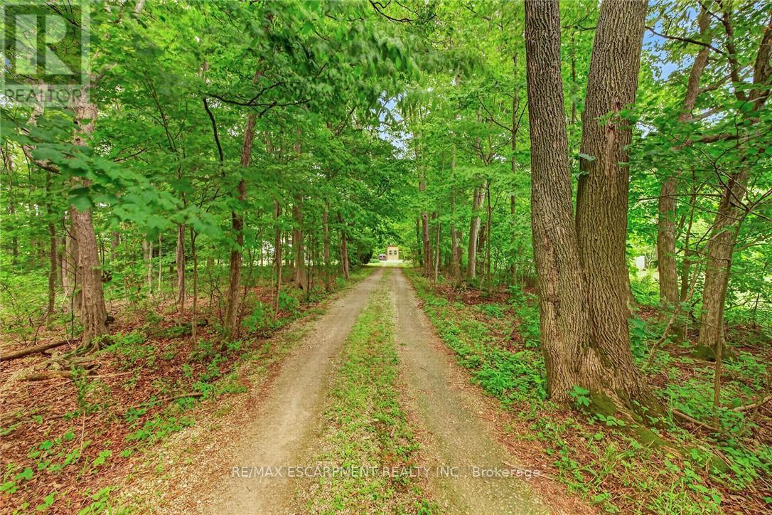 138 REICHELD ROAD - Image 5