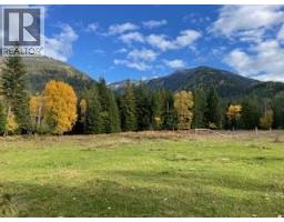 325 East Wilson Creek  E Road, Rosebery, BC V0G1S1 Photo 19
