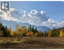 325 East Wilson Creek  E Road, Rosebery, BC V0G1S1 Photo 21
