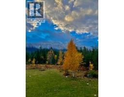 325 East Wilson Creek  E Road, Rosebery, BC V0G1S1 Photo 20