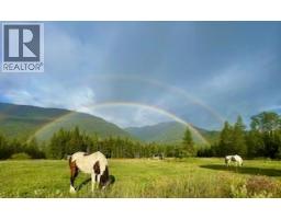 325 East Wilson Creek  E Road, Rosebery, BC V0G1S1 Photo 15