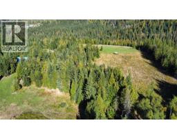 325 East Wilson Creek  E Road, Rosebery, BC V0G1S1 Photo 32