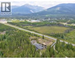 1365 S 5 Highway, Valemount, BC V0E2Z0 Photo 27