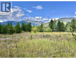 1365 S 5 Highway, Valemount, BC V0E2Z0 Photo 25