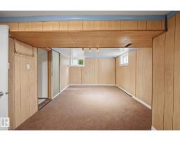 10917 96 St Nw, Edmonton, AB T5H2K4 Photo 19