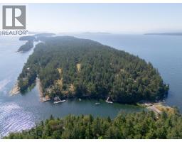 188 Long Island Lane, Decourcy Island, BC A1A1A1 Photo 64