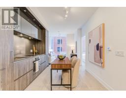 317 - 15 Mercer Street, Toronto, ON M5V1H2 Photo 9
