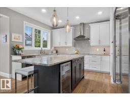 Recreation room - 2032 90 St Sw, Edmonton, AB T6X2C5 Photo 10