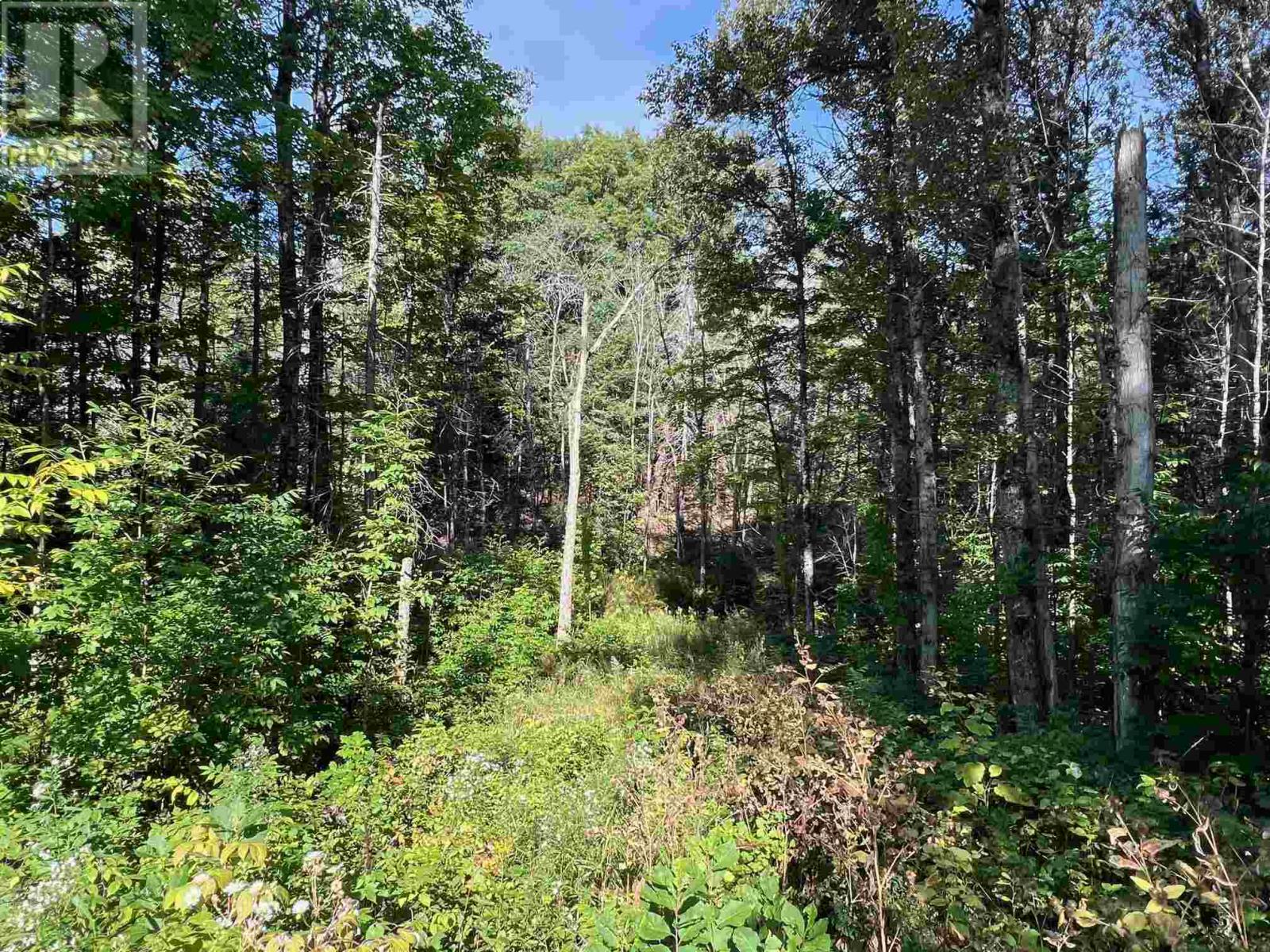 4167 Highway 638 — photo 17