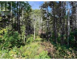 4167 Highway 638, Bruce Mines, ON P0R1C0 Photo 17