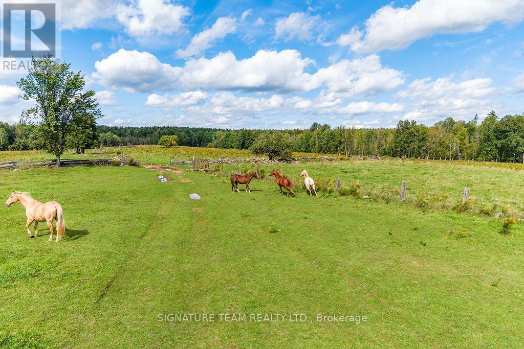 1228 GRIST MILL ROAD - Image 36