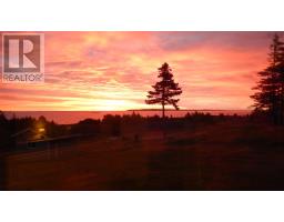 16 Seaview Lane, Main A Dieu, NS B1C1Z2 Photo 24