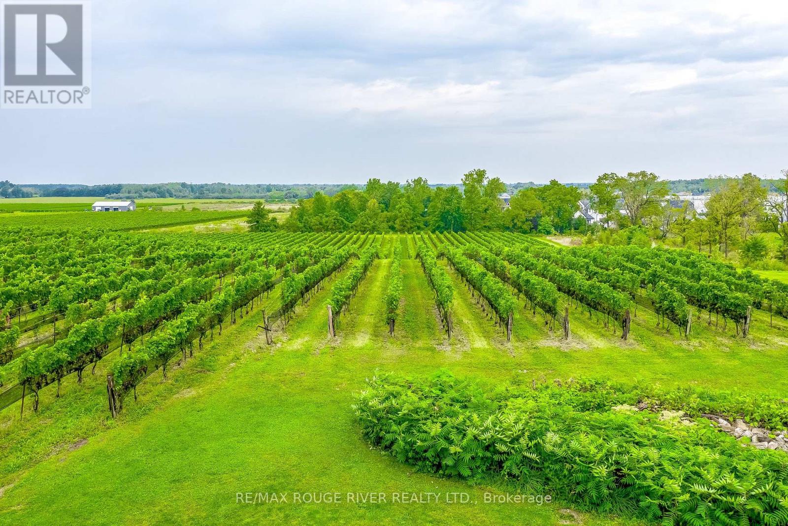 290 FOUR MILE CREEK ROAD - Image 47