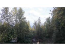 41768 Bowman Road, Majuba Hill, Yarrow, BC V2R5G8 Photo 9