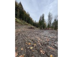 41768 Bowman Road, Majuba Hill, Yarrow, BC V2R5G8 Photo 15
