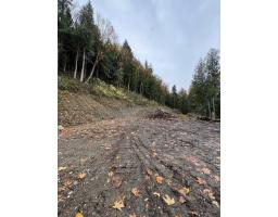 41768 Bowman Road, Majuba Hill, Yarrow, BC V2R5G8 Photo 16