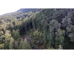 41768 Bowman Road, Majuba Hill, Yarrow, BC V2R5G8 Photo 11