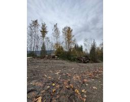 41768 Bowman Road, Majuba Hill, Yarrow, BC V2R5G8 Photo 18