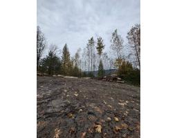 41768 Bowman Road, Majuba Hill, Yarrow, BC V2R5G8 Photo 19