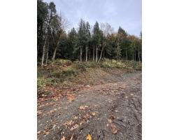 41768 Bowman Road, Majuba Hill, Yarrow, BC V2R5G8 Photo 17